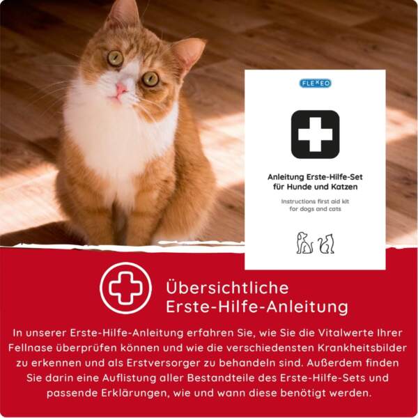 Erste-Hilfe-Set für Hunde und Katzen Erste Hilfe Anleitung