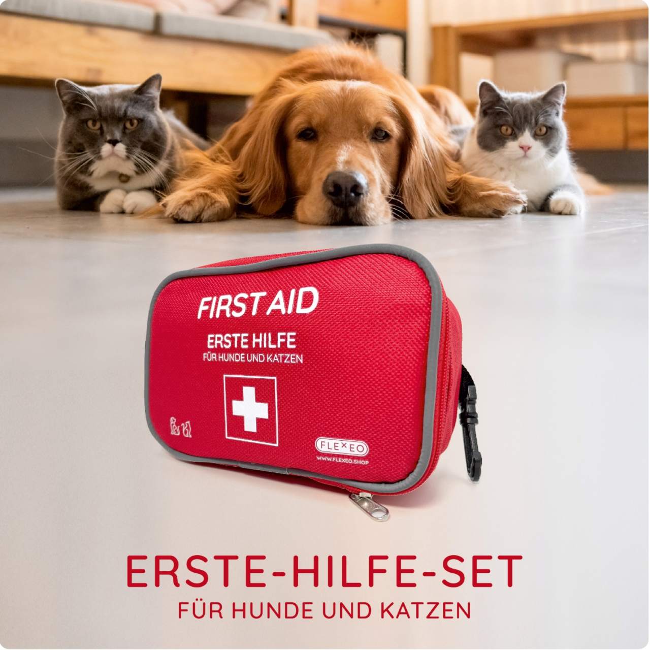 Erste-Hilfe-Tasche für Hunde