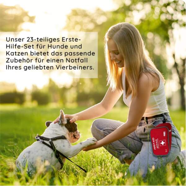 Erste-Hilfe-Set für Hunde und Katzen beim gassi gehen