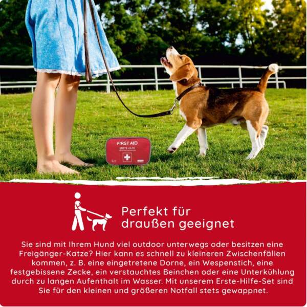 Erste-Hilfe-Set für Hunde und Katzen für Unterwegs