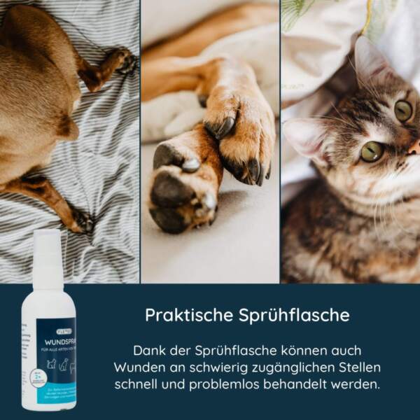Vorteile der Sprühflasche, auch bei schwierig zugänglichen Stellen